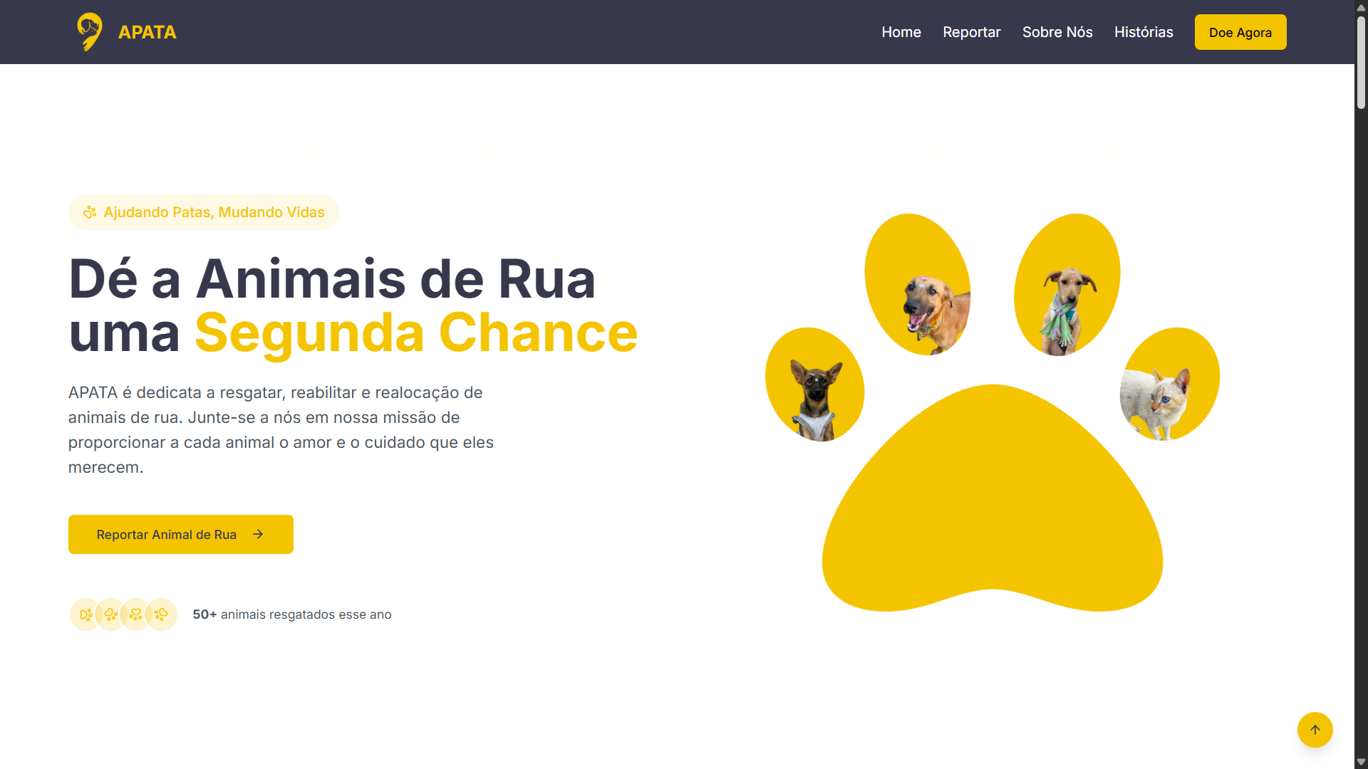 Apata NGO Webisite